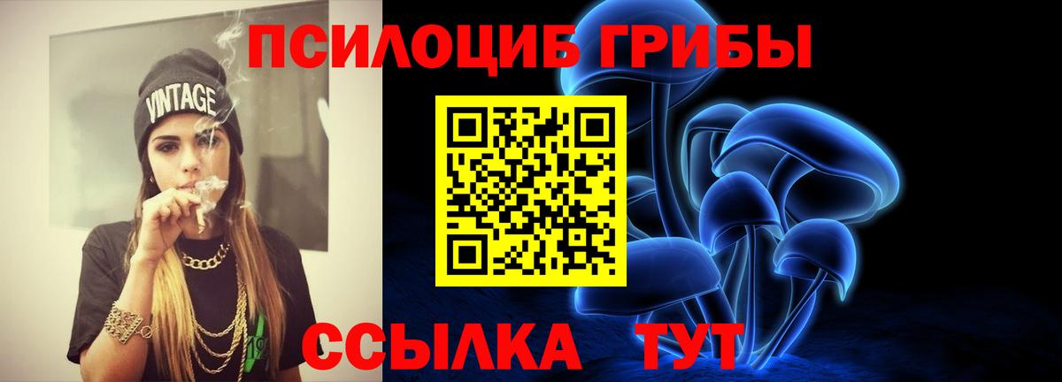 Зима  Псилоцибиновые грибы Psilocybine cubensis  Вход с VPN 
