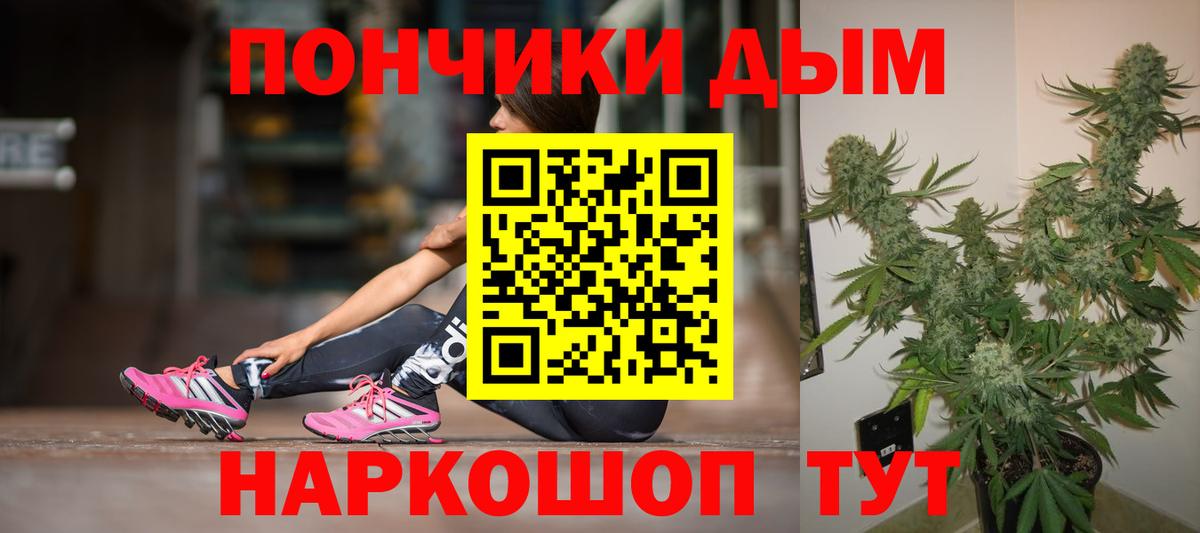 Шишки марихуана планчик  МАРИХУАНА сатива  Зима  Канабис план  Вход с VPN  Бошки Шишки ГИДРОПОН 